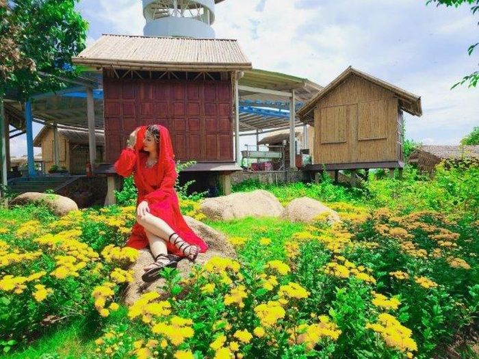 Hoa viên rực rỡ sắc màu