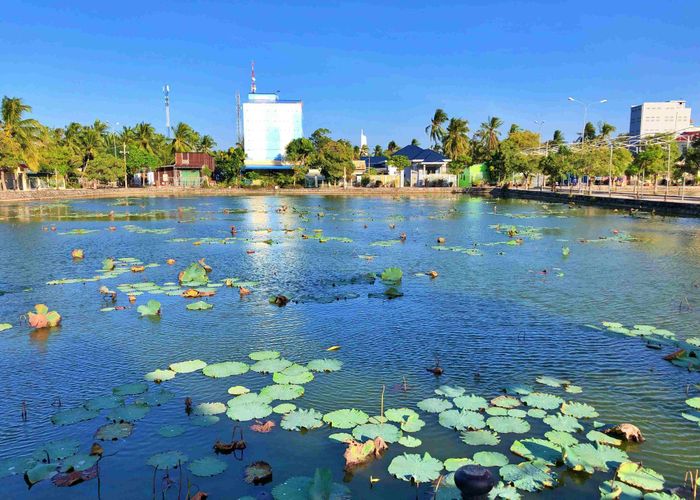 Tương truyền, nơi lập Tao đàn Chiêu anh các và tụ hội nhân sĩ thời Mạc Thiên Cửu có cảnh trí non thanh, thủy tú và ngày nay dưới chân ngọn núi Bình San có mộ phần Mạc Thiên Tích - tác giả của 10 bài thơ vịnh Hà Tiên Thâp cảnh có hồ sen rộng hoa nở quanh năm. Ảnh: TTH