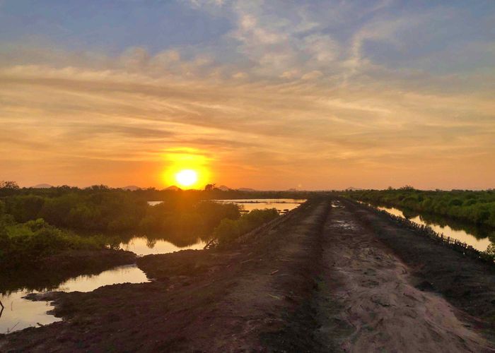 Đông Hồ ấn nguyệt (trăng sáng lúc bình minh trên vịnh Đông Hồ), một vịnh nước lợ phía cuối con sông Giang Thành bọc lấy thành phố Hà Tiên như một chiến lũy. Ảnh: TTH