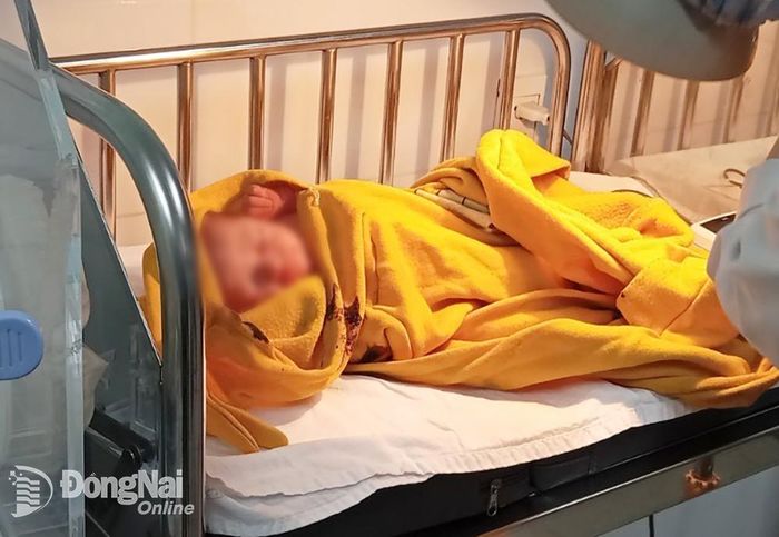 Sức khỏe bé gái sơ sinh bị bỏ rơi đã ổn định và đang được chăm sóc tại Bệnh viện nhi đồng Đồng Nai