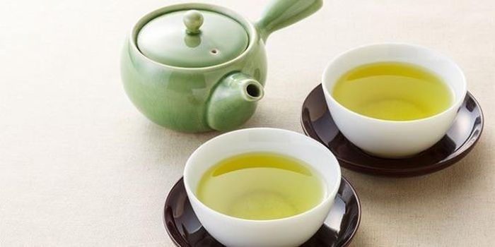 Trà xanh chứa hàm lượng chất chống oxy hóa lý tưởng cho cơ thể, giúp ngăn ngừa nhiều bệnh tật.