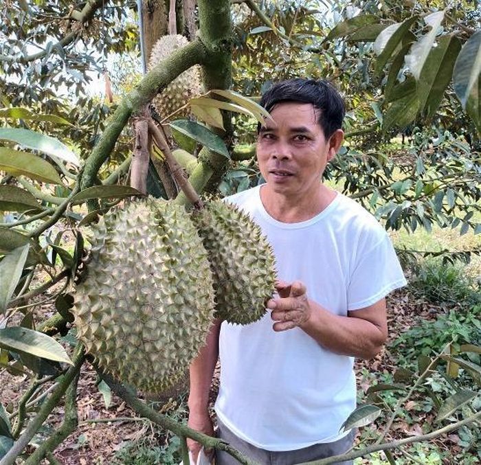 Ông Lê Văn Hà. Ảnh: Hải Luận