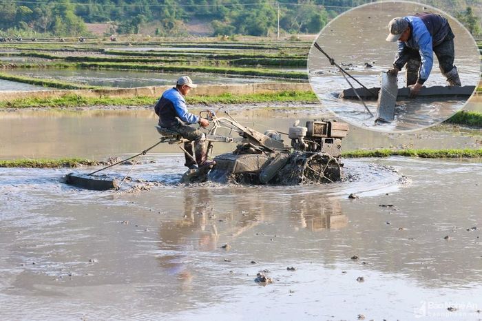 Bà con đã biết đưa cơ giới hóa vào sản xuất nông nghiệp, từng bước thay đổi tập quán canh tác. Bên cạnh sử dụng máy móc, người dân còn tư duy sáng tạo, cải tiến thêm một số dụng cụ nhằm giảm bớt thời gian lao động. Trong ảnh: Người dân xã Tam Thái (Tương Dương) vừa cày, vừa tận dụng sức kéo của máy cày kéo theo một thanh gỗ để san bằng mặt ruộng. Ảnh: Đình Tuân 