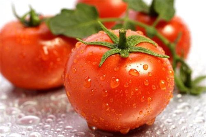 Nhiệt độ thấp của tủ lạnh còn ngăn cản quá trình chín tự nhiên của cà chua