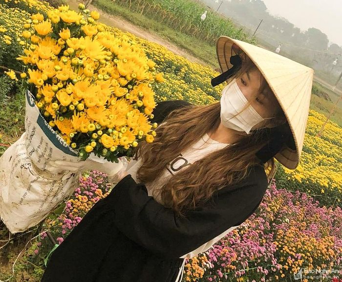 Người dân đến tận vườn chọn hoa. Ảnh: Thanh Phúc