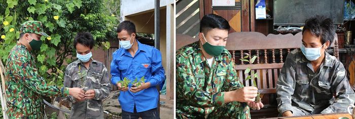 Cán bộ Đồn Biên phòng cửa khẩu Chi Ma (Lạng Sơn) trao tặng và hướng dẫn cách trồng cây giống cho người dân vùng biên.