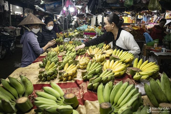 Giá chuối cúng giảm mạnh so với dịp Tết Nguyên đán. Ảnh: Thanh Phúc