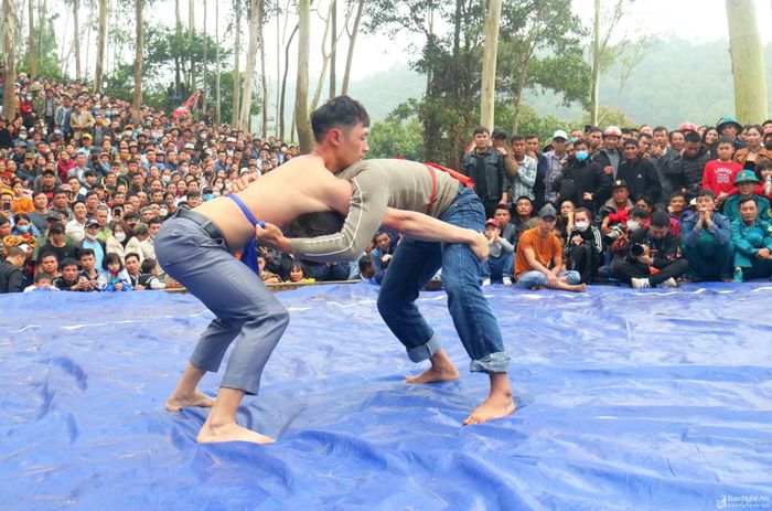 Không có sự sắp xếp nhưng trên sới vật luôn là sự tranh tài của đô vật xã này với đô vật xã kia. Khi trống hội vang lên, những đô vật thoắt lùi, thoắt tiến, luôn cố gắng tìm sơ hở của nhau để quật ngã đối phương. Không khí sới vật lúc thì sôi nổi, lúc giằng co quyết liệt. Ảnh: Huy Thư
