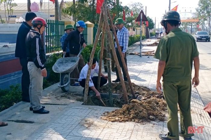 Cây trồng được giằng néo cẩn thận (Ảnh: Người dân xã Xuân Lộc trồng cây trên tuyến đường khu vực trung tâm xã).