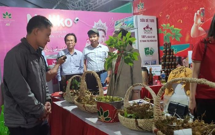Sâm Ngọc Linh và các dược liệu được bán tại Phiên chợ lần 2 - Ảnh: VGP/Dương Nương
