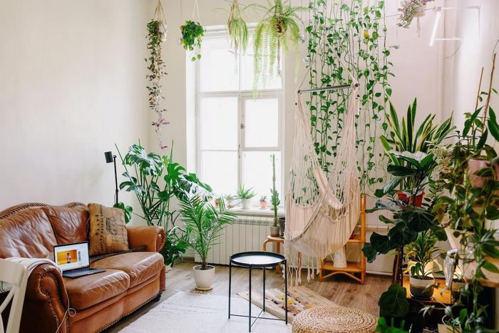 Ảnh minh họa. Ảnh: Pexels
