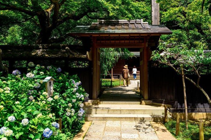 Cửa vào đền Matsugaoka Tōkei-ji. Ảnh: Amusingplanet.