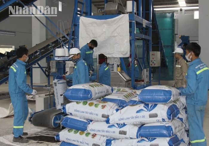 Dây chuyền sản xuất phân bón vô cơ, hữu cơ với công suất 90.000 tấn/năm.