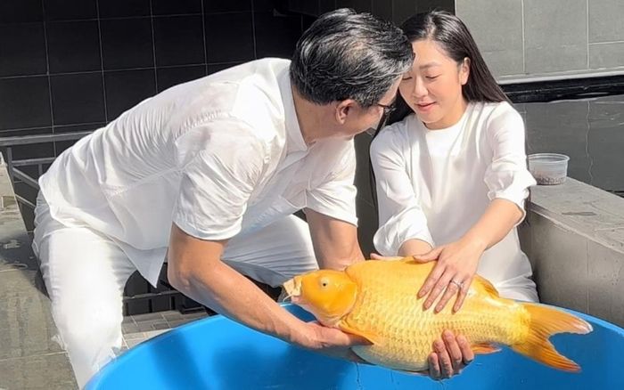 “Vua cá Koi” cũng đã quay trở lại công việc. Mặc dù bận rộn nhưng nam doanh nhân vẫn luôn dành thời gian cho bà xã khi cô cần. Không những tháp tùng bà xã đi diễn, anh còn không nề hà trong việc chi một số tiền lớn để tặng vợ những món quà giá trị.