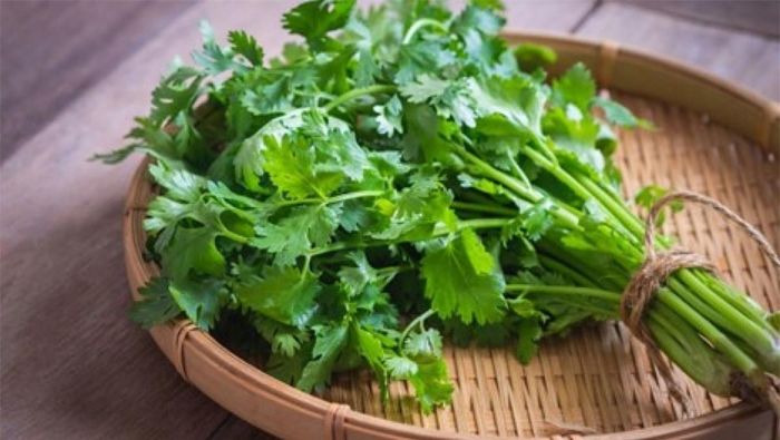Rau mùi: Rau mùi tây, mùi ta thường có mùi thơm đặc trưng, được ăn sống hoặc dùng làm trang trí các món ăn. Đây không phải là nguyên nhân trực tiếp gây mất sữa, nhưng là lý do làm mất sữa gián tiếp ở mẹ sau sinh. Ảnh minh họa
