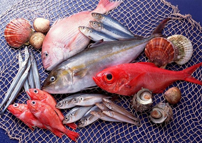 Cá biển: Nên tránh những loại cá biển chứa nhiều thủy ngân. Chất này có thể đi vào sữa mẹ và cũng có thể ảnh hưởng đến khả năng phát triển não bộ của em bé. Ảnh minh họa