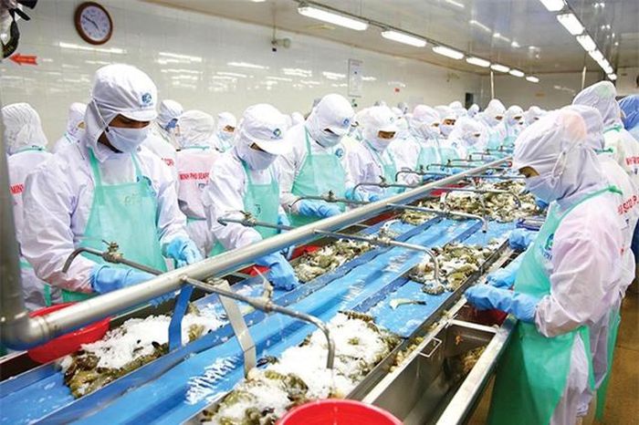 Ngành thủy sản Việt Nam vẫn đặt mục tiêu là có thể xuất khẩu sang thị trường Trung Quốc trong năm nay từ 1,8 đến 1,9 tỷ USD. Ảnh minh họa.