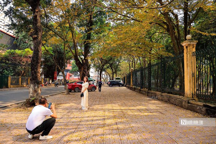 Khoảnh khắc này khiến thu hút người dân nô nức kéo tới chụp ảnh check-in.