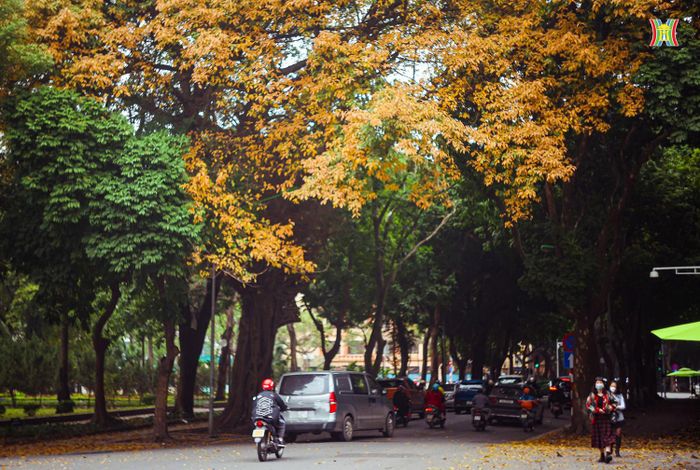 Phố Phan Đình Phùng "huyền thoại" đẹp ngỡ ngàng với sắc lá vàng nổi bật một góc phố.