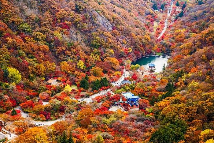 Núi Naejangsan vào mùa Thu