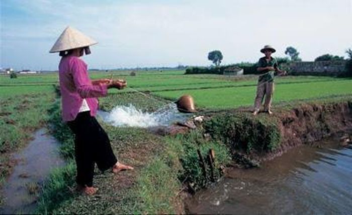 Tát nước bằng gàu dây.