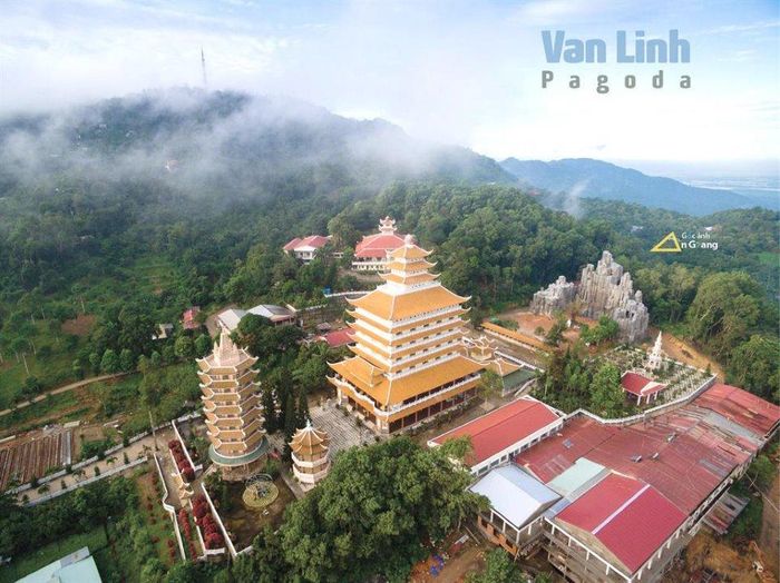 Ở bất cứ vị trí nào bức tường cây tai tượng đỏ vẫn rực rỡ