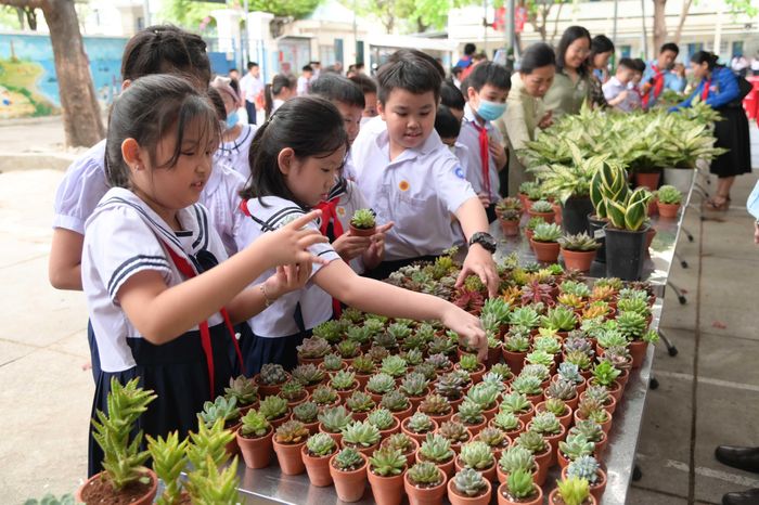 Các học sinh thích thú lựa chọn loại cây mình yêu thích.