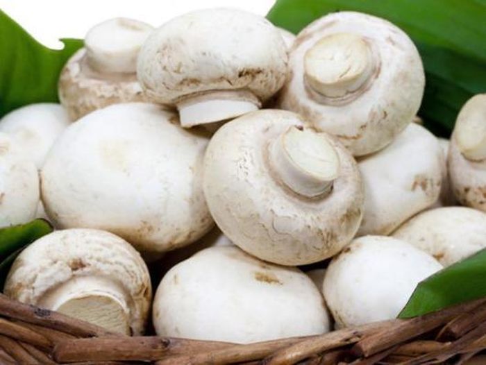 Nấm mỡ kích thích tiêu hóa, chỉ huyết, lợi niệu.
