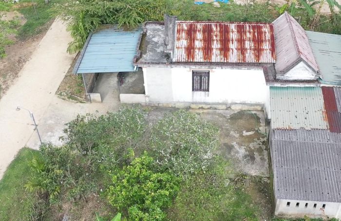 Một căn nhà ở Trung Sơn trồng nhiều cây mận lâu năm