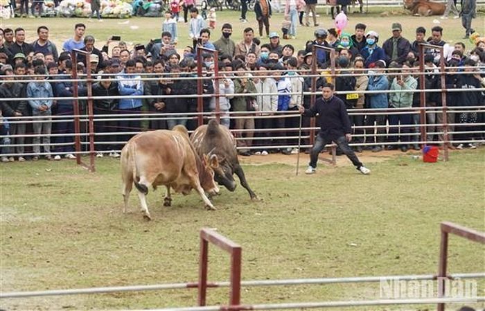 So kè quyết liệt, không chịu thua kém.