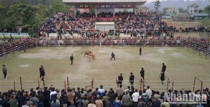 Khán giả "len" kín sân vận động huyện Hà Quảng theo dõi các trận chọi bò.