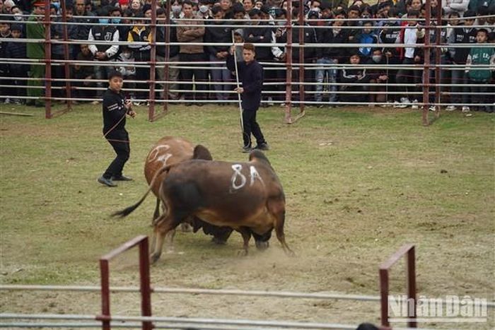 Một pha tấn công "áp sát". 