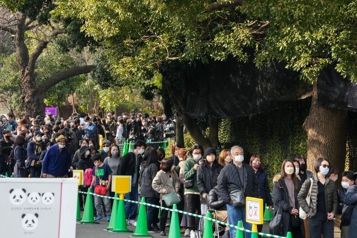  Hàng nghìn người xếp hàng đến sở thú Ueno để tiễn Xiang Xiang lần cuối. Ảnh: Xinhua. 