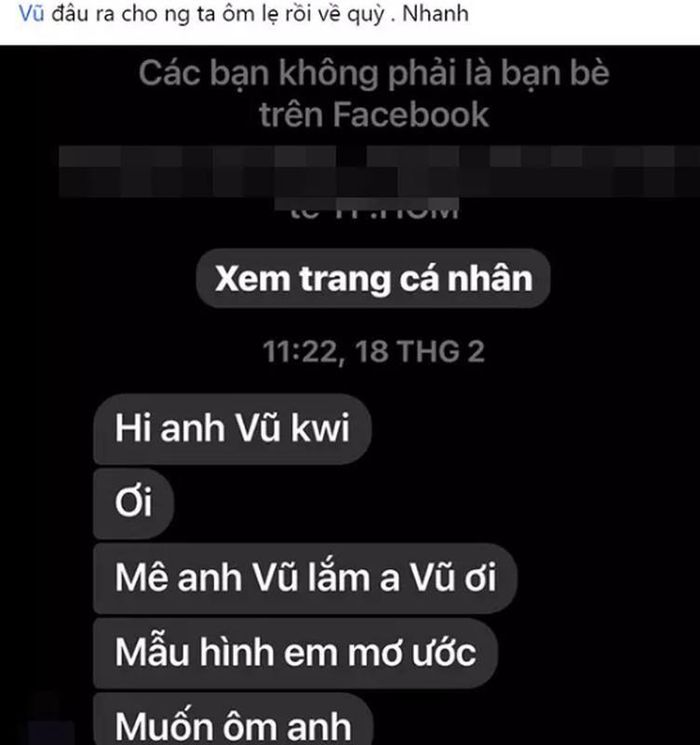 Mới đây Đoàn Di Băng gây chú ý khi chia sẻ ảnh chụp màn hình đoạn tin nhắn một người phụ nữ gửi đến chồng của mình. Theo nội dung tin nhắn cô gái này hâm mộ anh Vũ, thậm chí còn muốn được ôm nếu cả hai gặp mặt.
