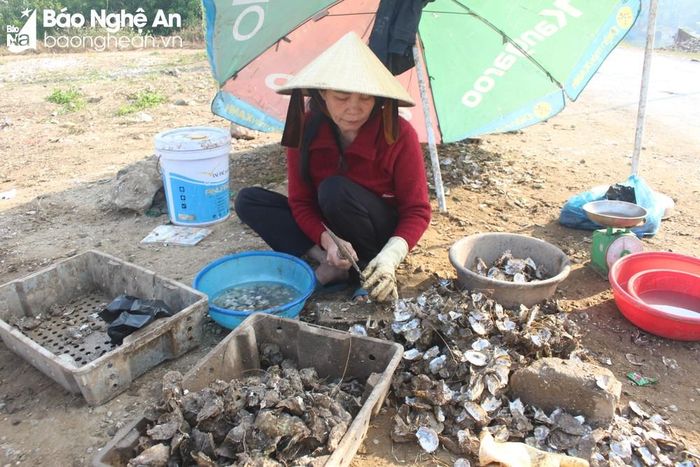 Hàu được bán với giá từ 100.000 – 120.000 đồng/kg. Ảnh: Việt Hùng