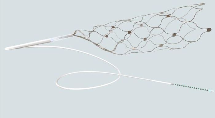 Dãy điện cực nội mạch Stentrode. Ảnh Synchron