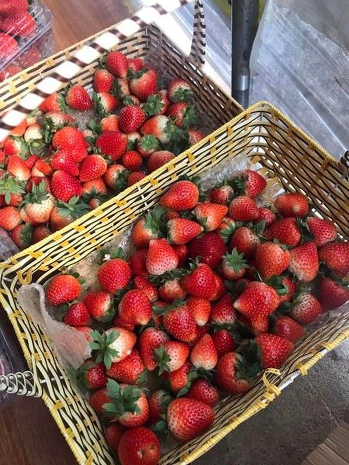 Quả dâu Mộc Châu thường to ở phần gần cuống và thon dần về chóp, trong khi dâu Trung Quốc lại quả khá đều, to đều, cuống dài, sờ vào quả có độ cứng, mịn.