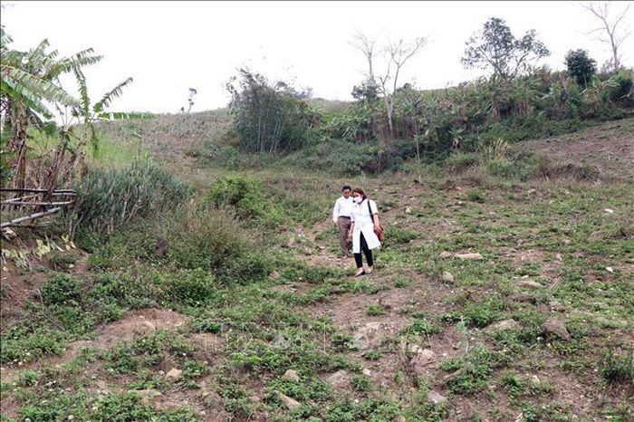 Do đặc thù địa bàn vùng cao, bác sĩ Nguyễn Thị Lan, Trạm trưởng Trạm Y tế xã Hồng Ngài phải cùng đồng nghiệp đi bộ đến nhà để khám bệnh cho đồng bào vùng cao.