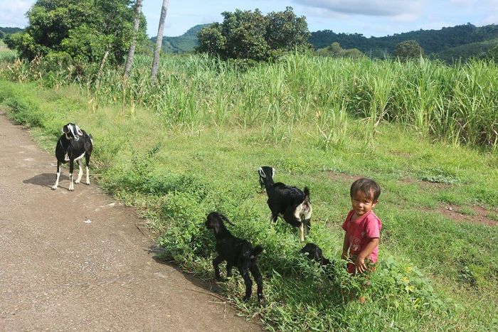 Cùng với canh tác và chăn nuôi cuộc sống người đồng bào ngày một ổn định