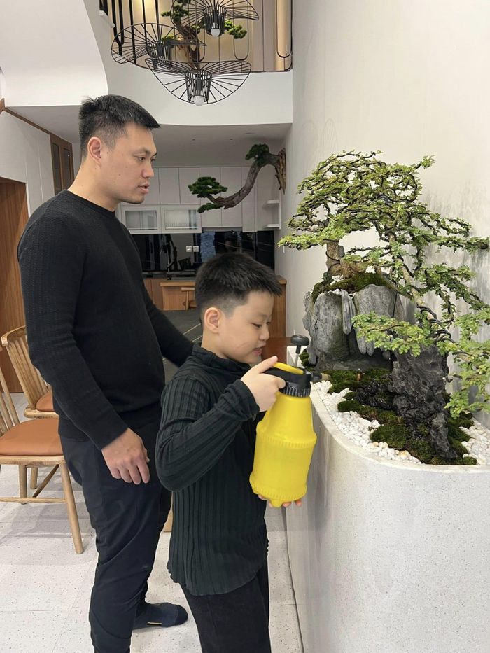 Tiểu cảnh bonsai nghệ thuật. Phần bệ được ốp đá mài trắng.