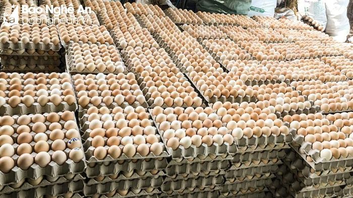 Không chỉ xuống giá mà sức tiêu thụ trứng cũng chậm hơn. Ảnh: Thanh Phúc