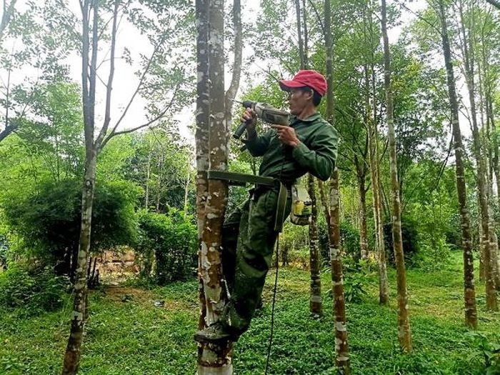 Người dân Phúc Trạch đang khoan dó tạo trầm