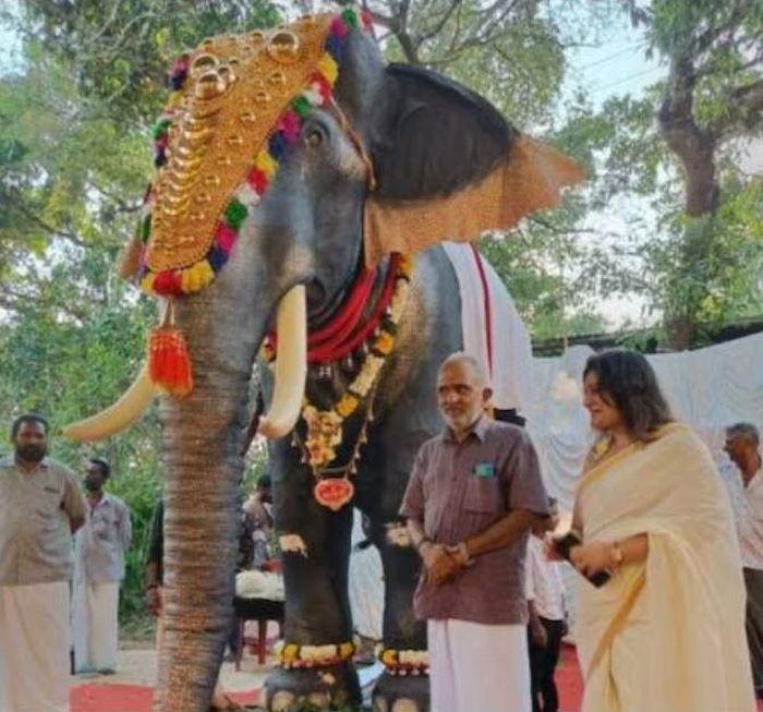Mô hình voi máy giống thật được sử dụng tại một nghi lễ của Đền Irinjadappilly Sree Krishna. Ảnh: Indian Express.