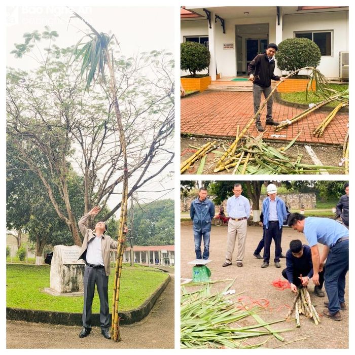 Ban Giám khảo đo, cân và kiểm nghiệm độ đường của các mẫu mía tham gia dự thi. Ảnh: Thanh Phúc