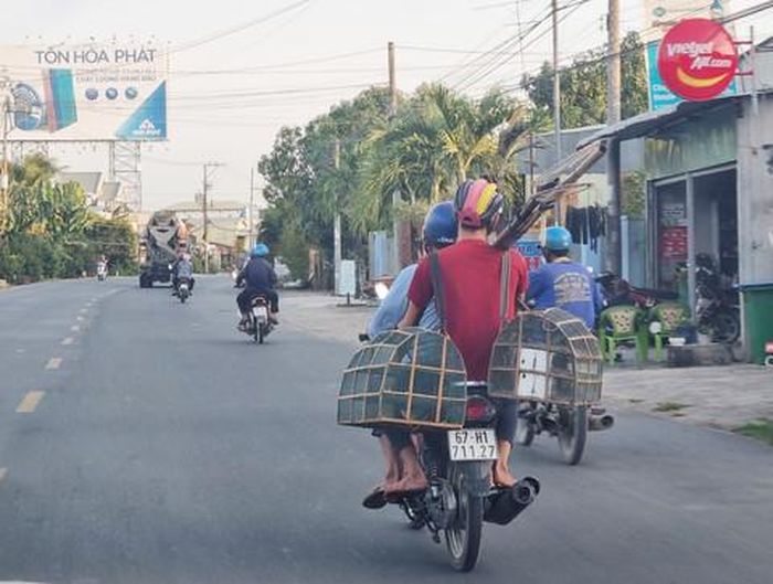  Thợ săn chở đồ nghề đi bẫy chim trời.