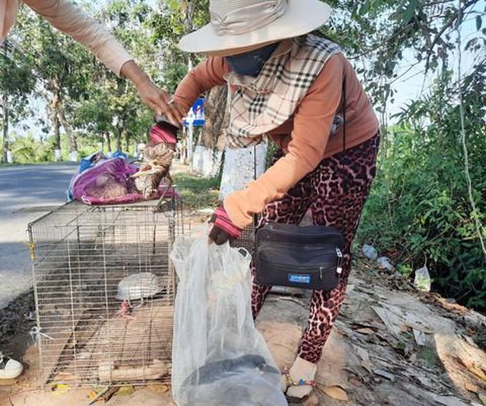  Chim trời được bày bán công khai ven lề đường.