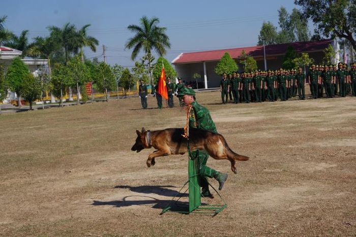 Biểu diễn chó nghiệp vụ trong buổi lễ ra quân huấn luyện của BĐBP Đồng Tháp. Ảnh: Hòa Bình