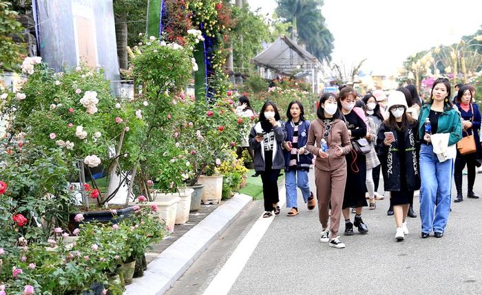 Du khách tham quan lễ hội hoa tại huyện Mê Linh, tháng 12-2022. Ảnh: Quang Thái