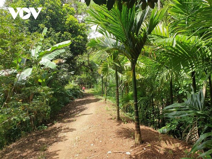 Mặc dù nằm ngay trong thành phố, chảy ầm ào suốt ngày đêm, nhưng dường như thác Nhà Đèn ít được biết đến. Cả một đoạn dài nối 2 bậc thác, khung cảnh như một vùng quê yên ả, với lá me bay, nắng hàng cau.