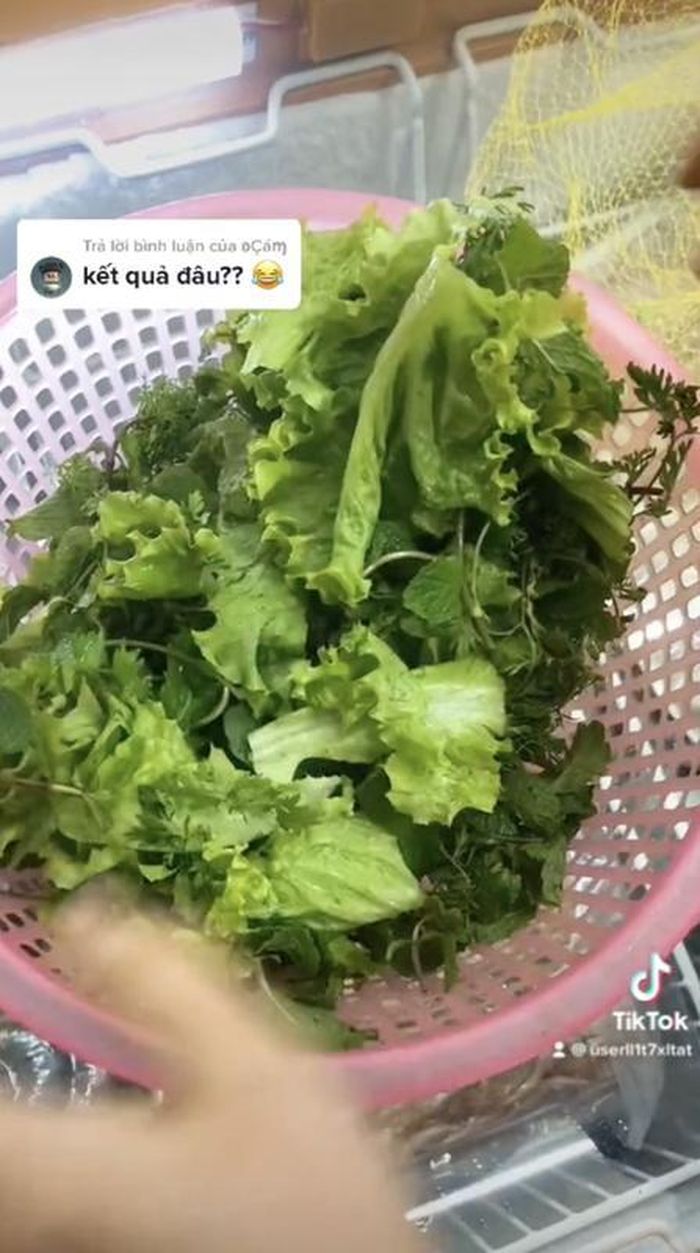 Kết quả của việc dùng túi lưới vẩy rau là rau sạch nước và không hề rơi rớt ra ngoài tí nào.